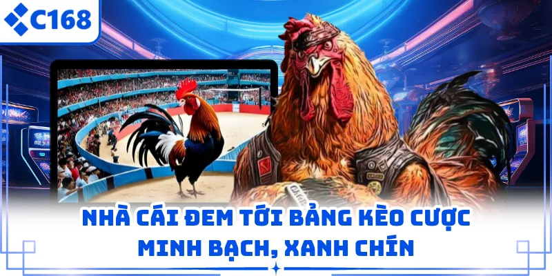 Nhà cái đem tới bảng kèo cược minh bạch, xanh chín